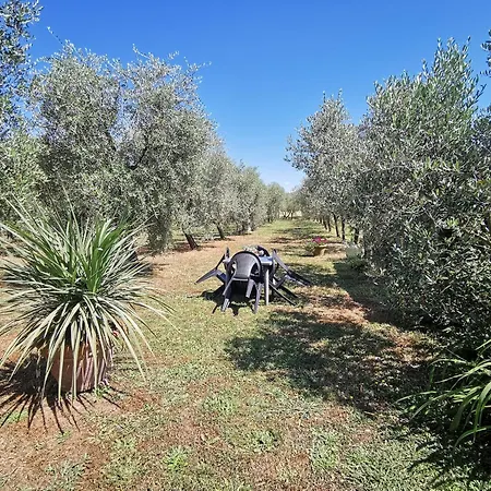 La Casa Dei Nonni