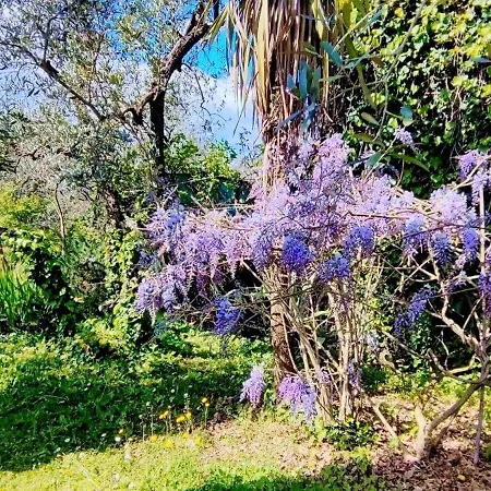 La Casa Dei Nonni 度假居 Larciano